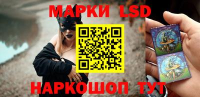 ПСИЛОЦИБИНОВЫЕ ГРИБЫ Заволжье