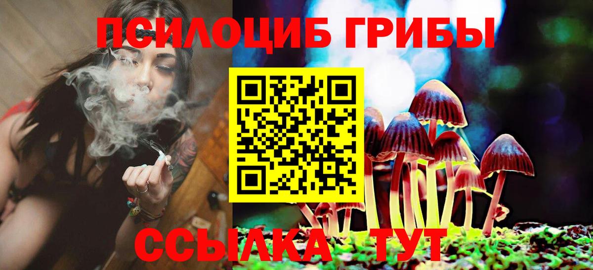 как найти закладки  Псилоцибиновые грибы Psilocybine cubensis  Вход с VPN  Назарово 