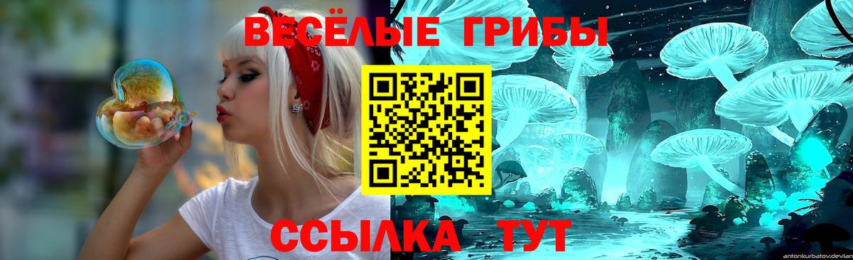 Псилоцибиновые грибы Psilocybine cubensis Назарово